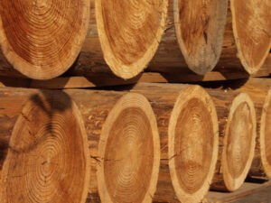 Holz