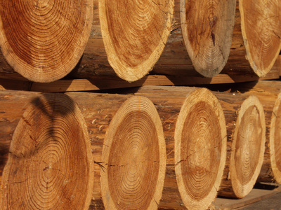 Holzwerkstoffindustrie 4.0 – Erhalt der Ressource Holz 5 Holzwerkstoffindustrie 4.0
