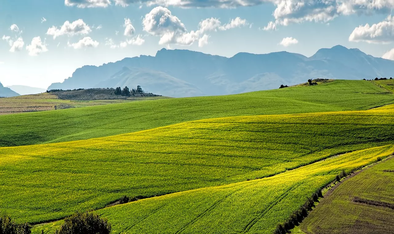 Canola Fields 1911392 1280 | Neue Richtlinie zu nachhaltiger Land- und Lebensmittelwirtschaft